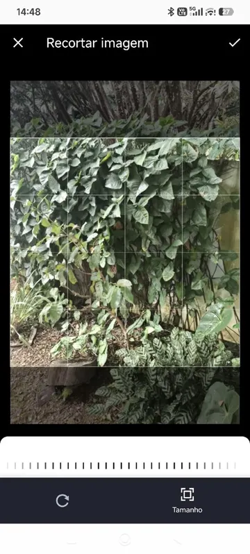 App ProPedido: foto do problema sendo recortada